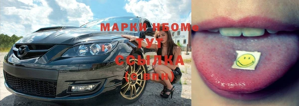 хмурый Бородино